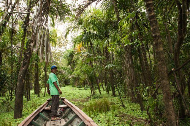 Libertad Jungle Lodge Yucuruche Kültér fotó